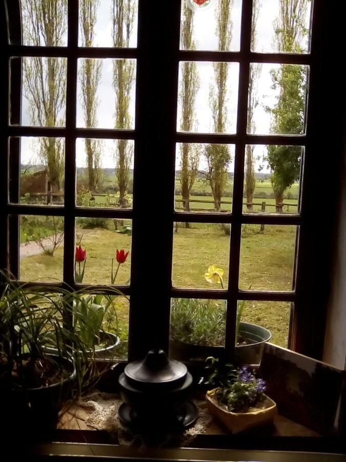 La Ferme Des Vignes Bed & Breakfast Hotot-en-Auge Екстериор снимка