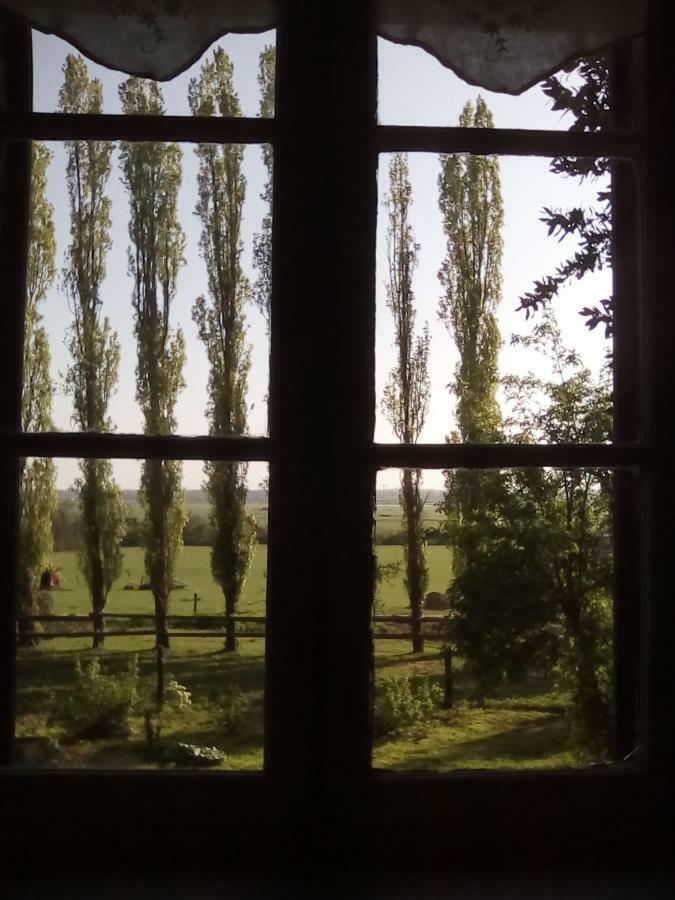 La Ferme Des Vignes Bed & Breakfast Hotot-en-Auge Екстериор снимка